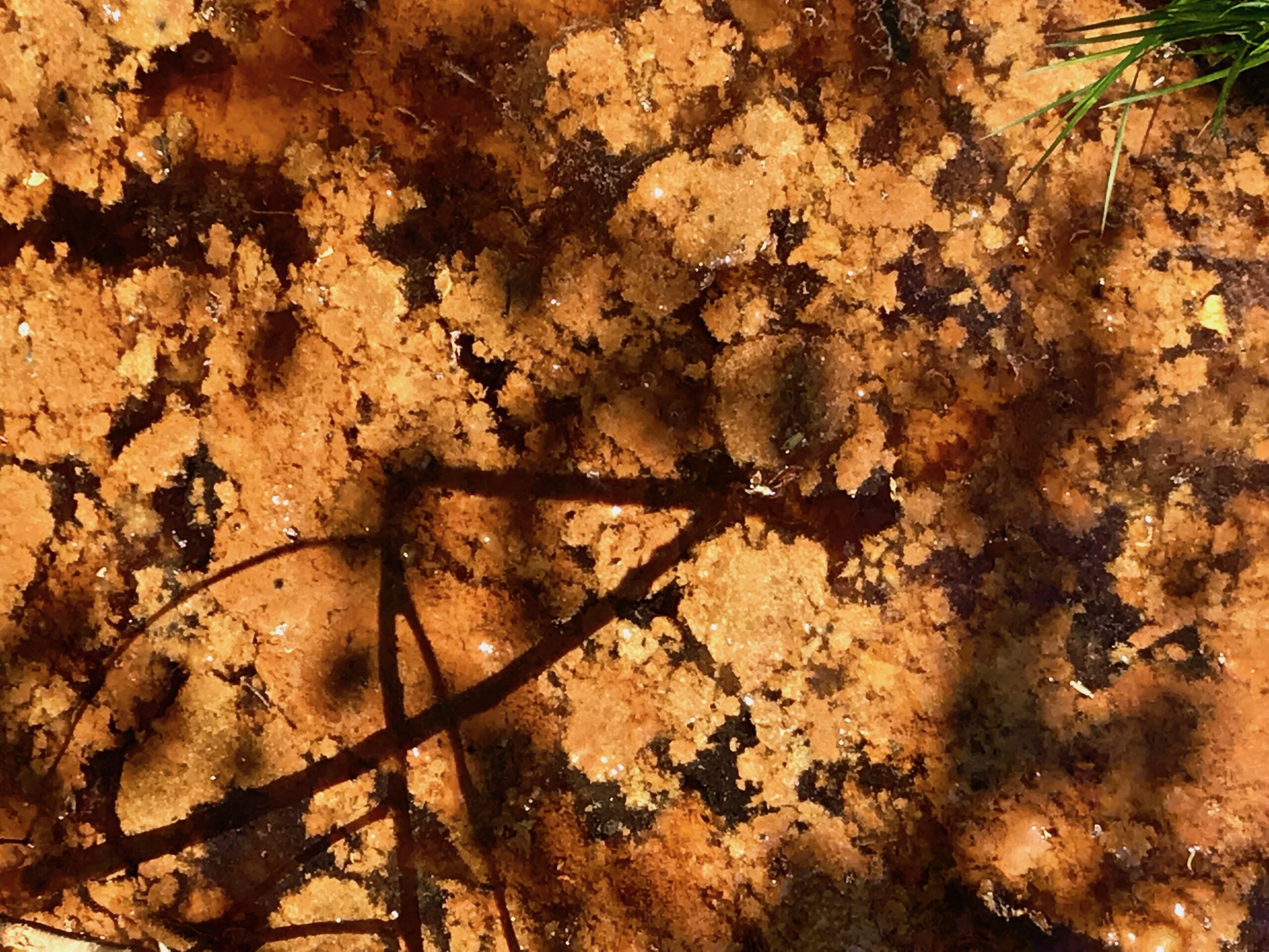 Masses-ferrugineuses-ruisseau-en-provenance-site-minier-st-michel-des-saints