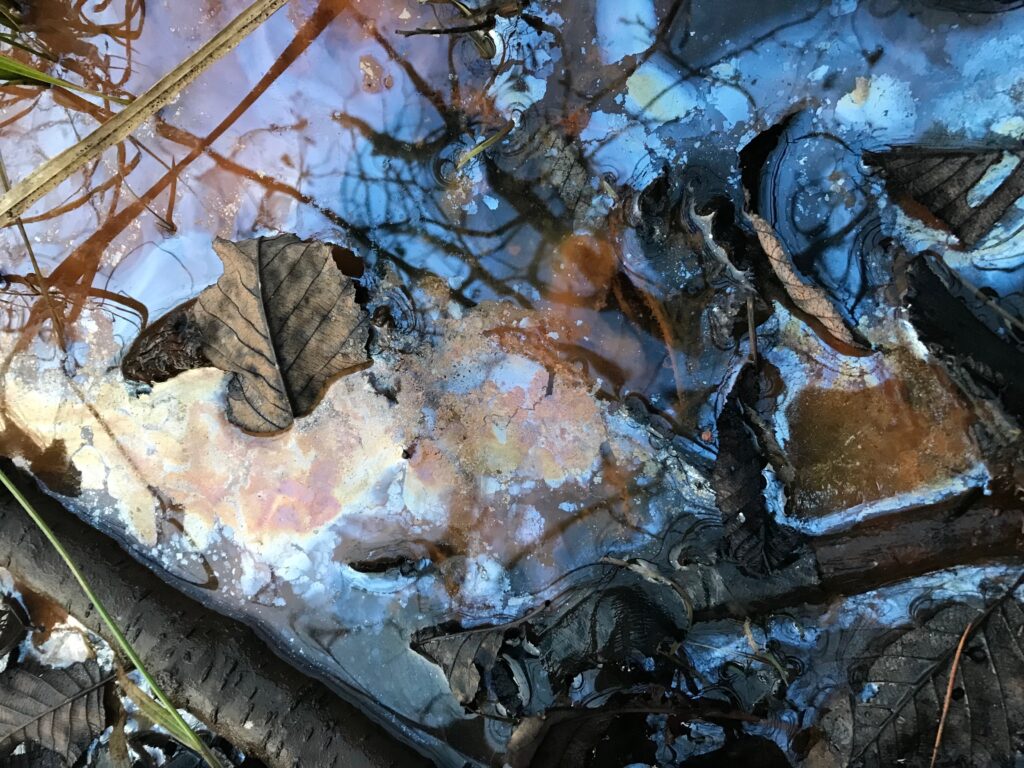 Cyanobactéries-rivière-Matawin-embouchure-ruisseau-en-provenance-site-minier-Matawinie